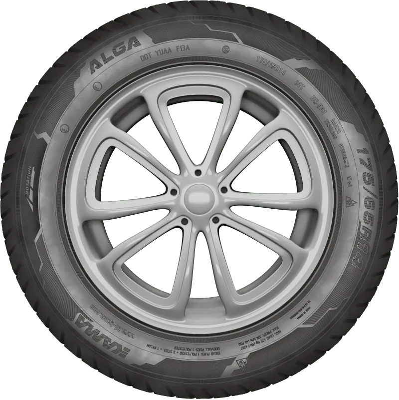 KAMA ALGA (НК-531) нешип в Камышине — KAMA TYRES KAMA ALGA (НК-531) нешип в Камышине
